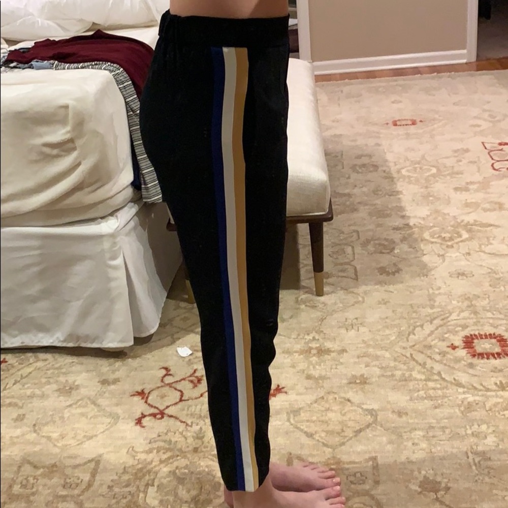 Aritzia Babaton Dress Pants
